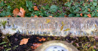 Inscription