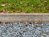 Inscription