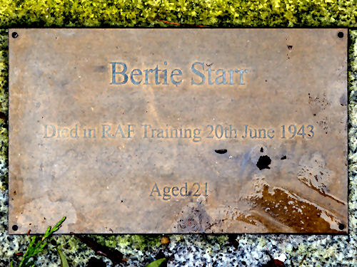 Plaque