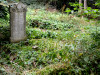 Grave