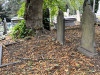 Grave
