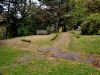 Garden area