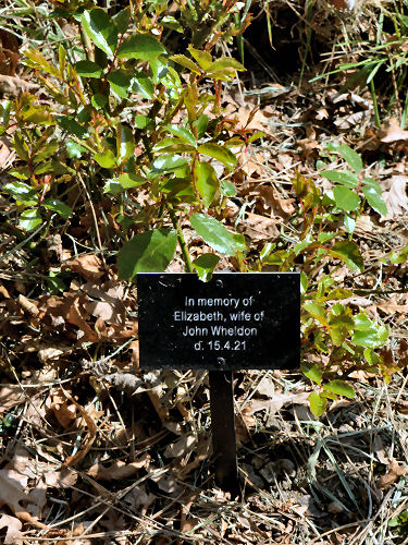 Elizabeth Wheldon
