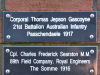 Plaque