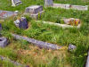 Grave