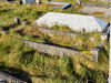 Grave
