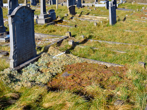 Grave