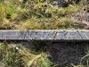 Inscription