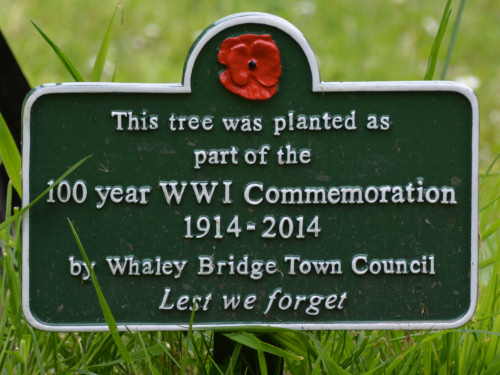 Plaque