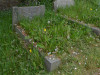 Grave