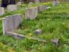 Grave