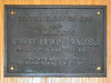 Plaque